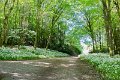 Springtime in Monaghan 2013 (10)